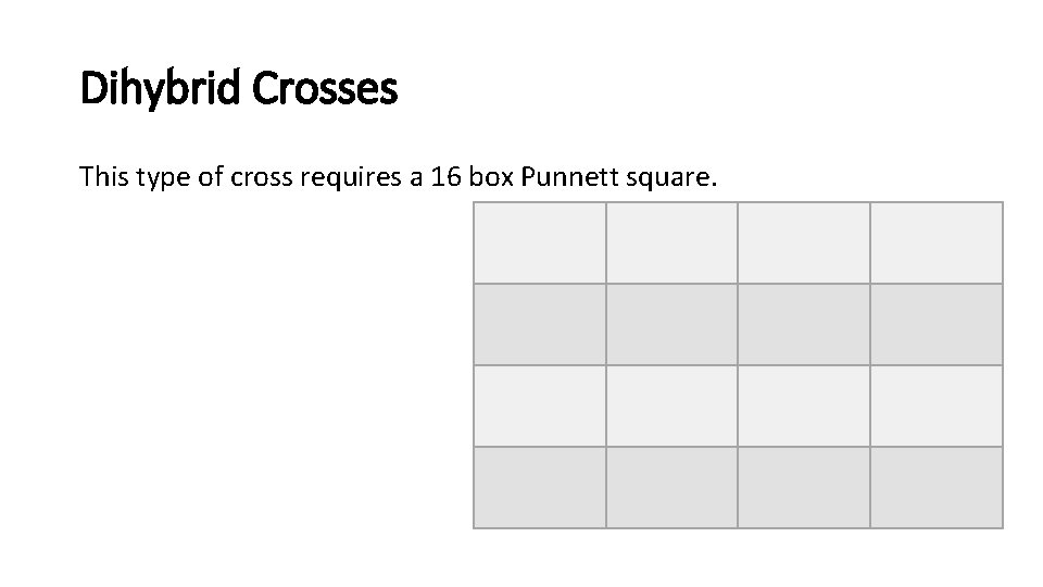 Dihybrid Crosses This type of cross requires a 16 box Punnett square. 