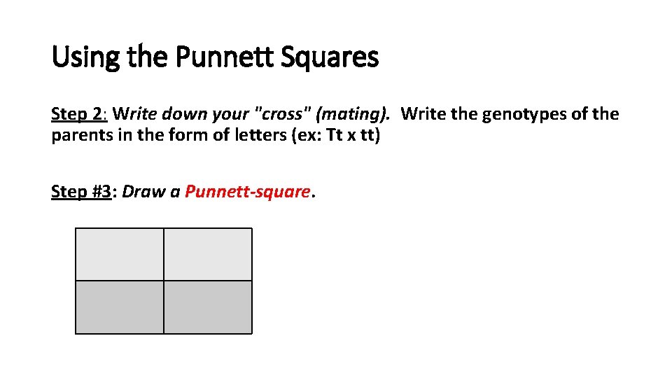 Using the Punnett Squares Step 2: Write down your "cross" (mating). Write the genotypes