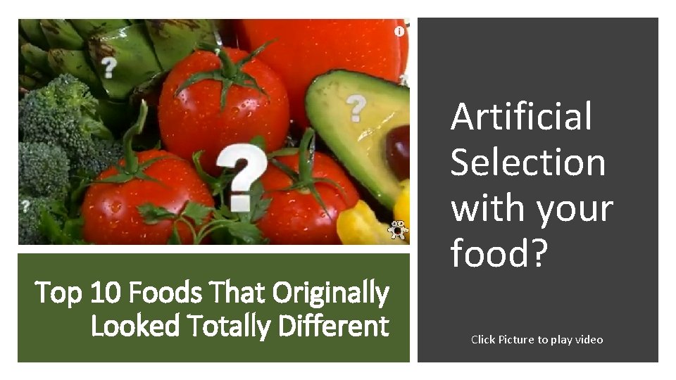 Top 10 Foods That Originally Looked Totally Different Artificial Selection with your food? Click