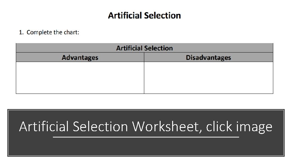 Artificial Selection Worksheet, click image 