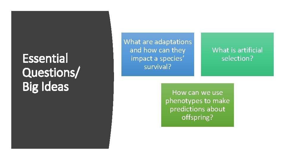 Essential Questions/ Big Ideas What are adaptations and how can they impact a species’