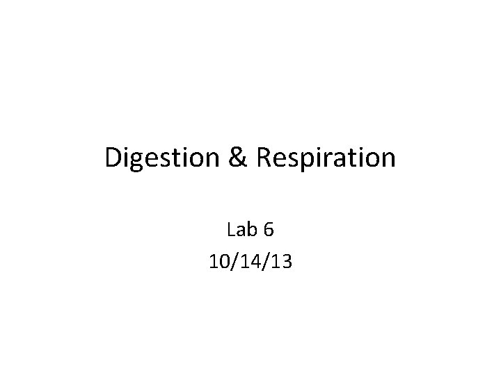 Digestion & Respiration Lab 6 10/14/13 