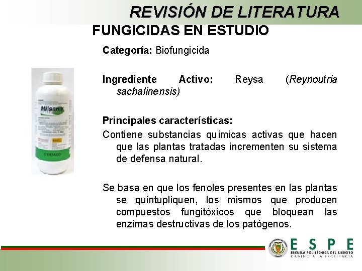 REVISIÓN DE LITERATURA FUNGICIDAS EN ESTUDIO Categoría: Biofungicida Ingrediente Activo: sachalinensis) Reysa (Reynoutria Principales