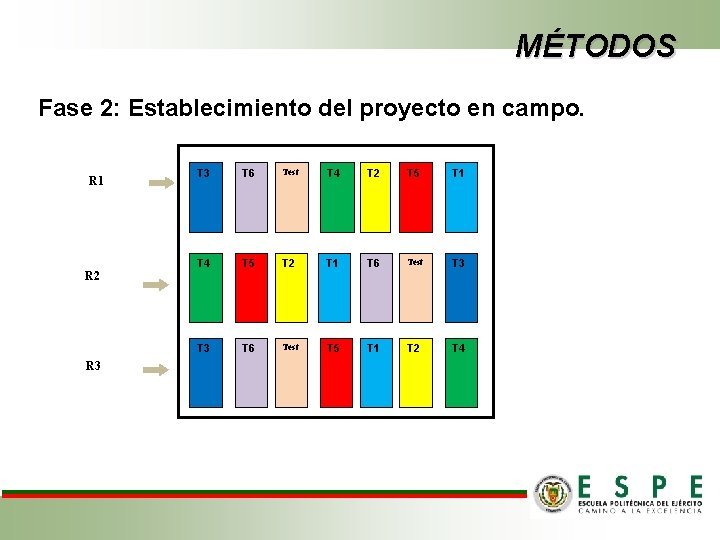 MÉTODOS Fase 2: Establecimiento del proyecto en campo. R 1 R 2 R 3