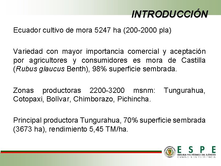 INTRODUCCIÓN Ecuador cultivo de mora 5247 ha (200 -2000 pla) Variedad con mayor importancia