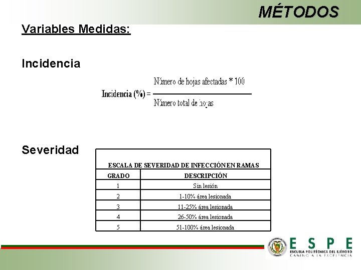 MÉTODOS Variables Medidas: Incidencia Severidad ESCALA DE SEVERIDAD DE INFECCIÓN EN RAMAS GRADO DESCRIPCIÓN