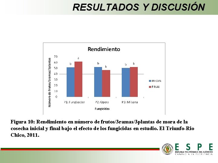 RESULTADOS Y DISCUSIÓN Figura 10: Rendimiento en número de frutos/3 ramas/3 plantas de mora