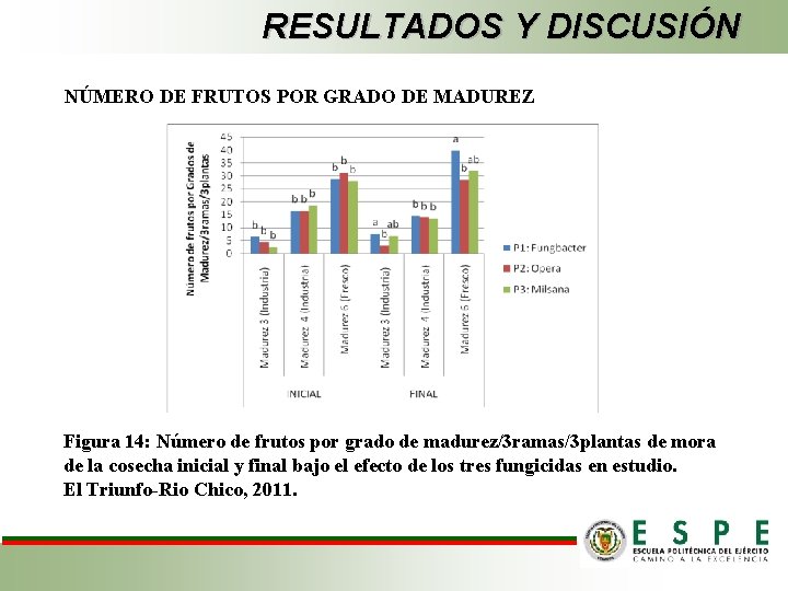 RESULTADOS Y DISCUSIÓN NÚMERO DE FRUTOS POR GRADO DE MADUREZ Figura 14: Número de