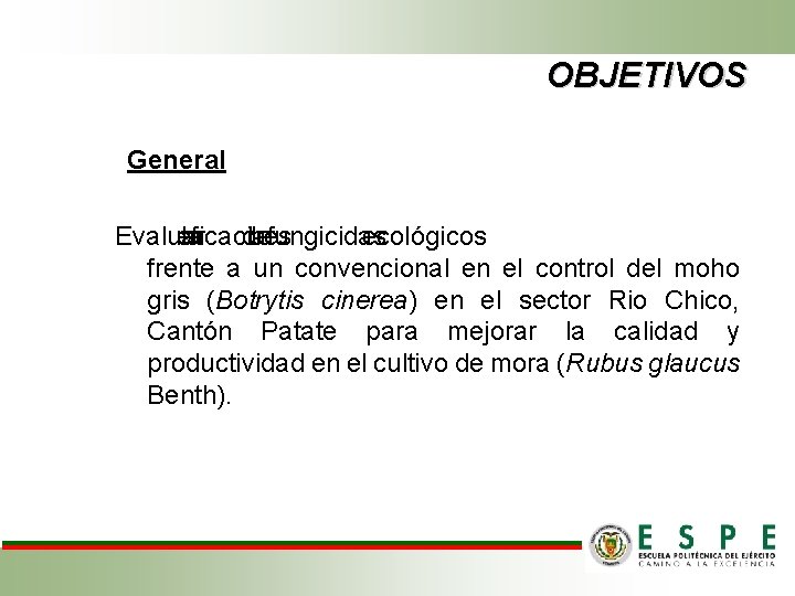 OBJETIVOS General Evaluar eficacia la de tres fungicidas ecológicos frente a un convencional en