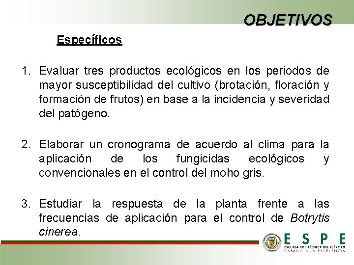 OBJETIVOS Específicos 1. Evaluar tres productos ecológicos en los periodos de mayor susceptibilidad del