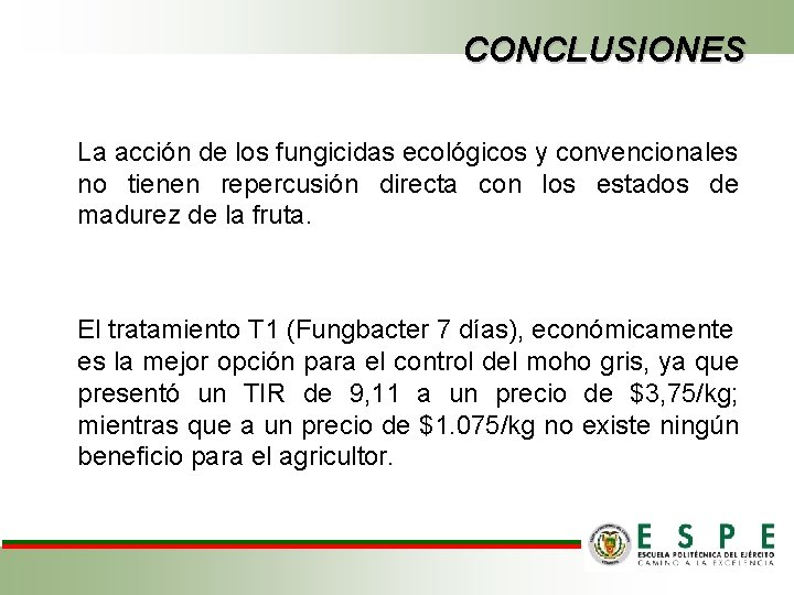 CONCLUSIONES La acción de los fungicidas ecológicos y convencionales no tienen repercusión directa con