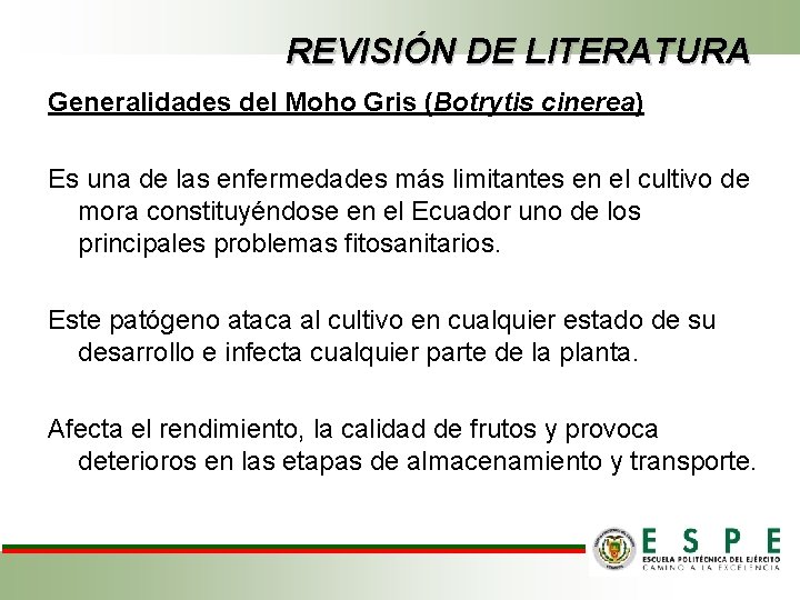 REVISIÓN DE LITERATURA Generalidades del Moho Gris (Botrytis cinerea) Es una de las enfermedades