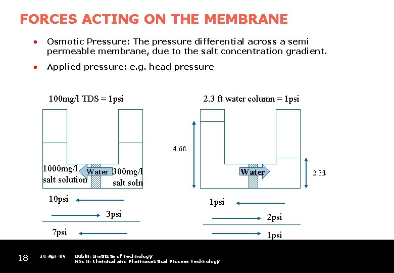 FORCES ACTING ON THE MEMBRANE • Osmotic Pressure: The pressure differential across a semi