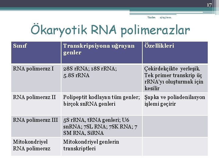 17 Yazılım 2/23/2021 Ökaryotik RNA polimerazlar Sınıf Transkripsiyona uğrayan genler Özellikleri RNA polimeraz I