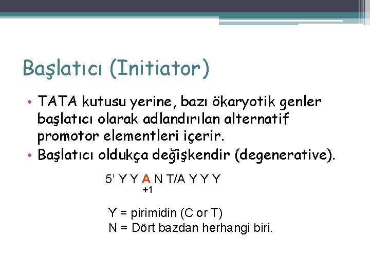 Başlatıcı (Initiator) • TATA kutusu yerine, bazı ökaryotik genler başlatıcı olarak adlandırılan alternatif promotor