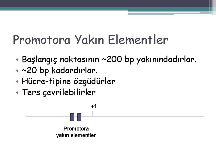 Promotora Yakın Elementler • • Başlangıç noktasının ~200 bp yakınındadırlar. ~20 bp kadardırlar. Hücre-tipine