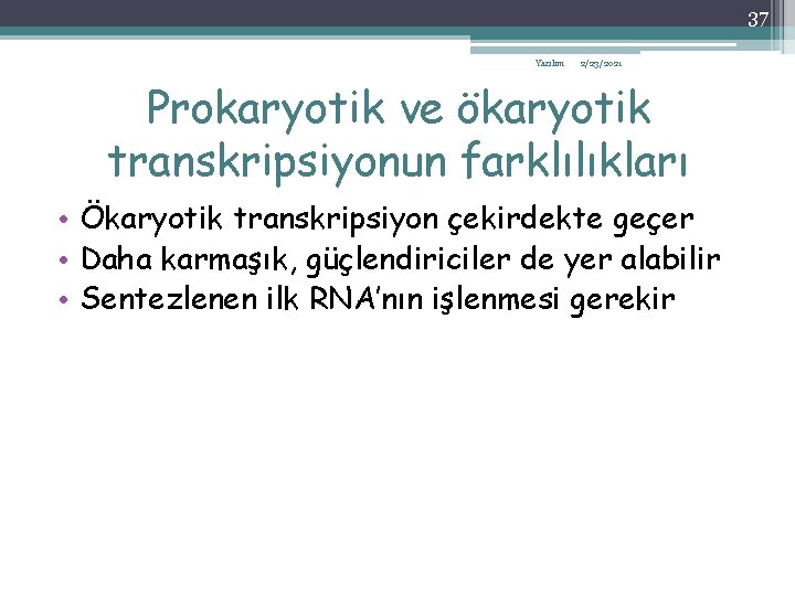 37 Yazılım 2/23/2021 Prokaryotik ve ökaryotik transkripsiyonun farklılıkları • Ökaryotik transkripsiyon çekirdekte geçer •