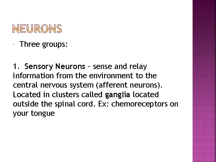  Three groups: 1. Sensory Neurons – sense and relay information from the environment