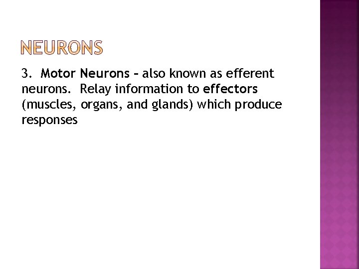3. Motor Neurons – also known as efferent neurons. Relay information to effectors (muscles,