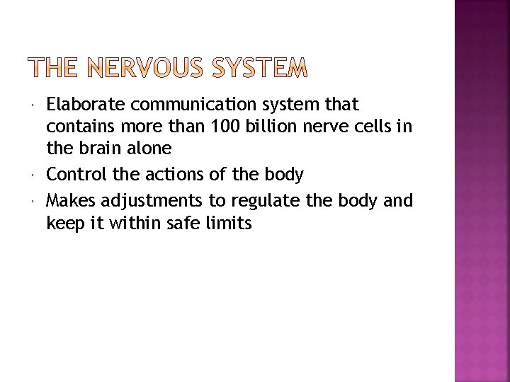  Elaborate communication system that contains more than 100 billion nerve cells in the