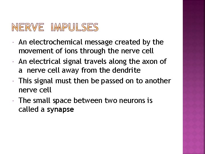  An electrochemical message created by the movement of ions through the nerve cell