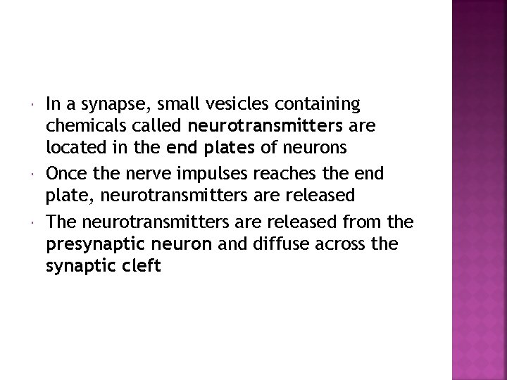  In a synapse, small vesicles containing chemicals called neurotransmitters are located in the