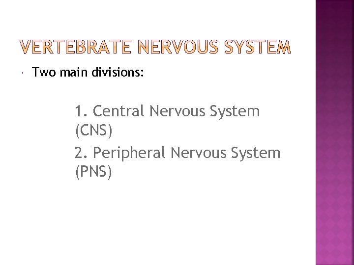  Two main divisions: 1. Central Nervous System (CNS) 2. Peripheral Nervous System (PNS)