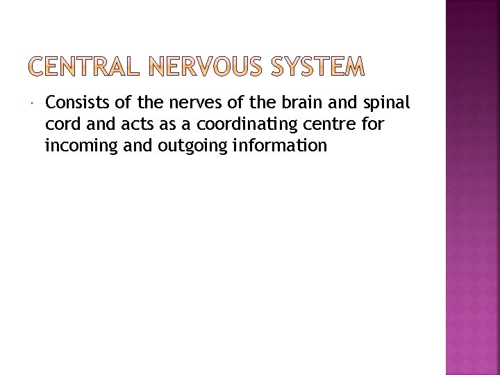  Consists of the nerves of the brain and spinal cord and acts as