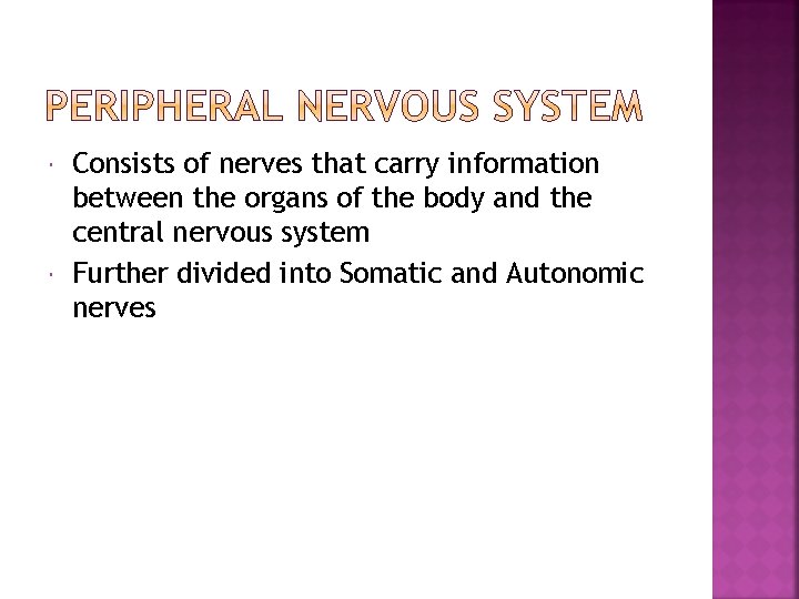 Consists of nerves that carry information between the organs of the body and