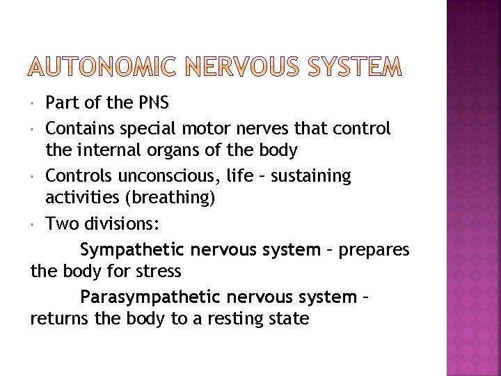 Part of the PNS Contains special motor nerves that control the internal organs of