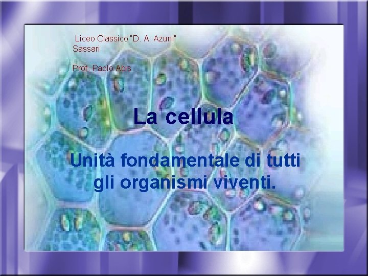  Liceo Classico “D. A. Azuni” Sassari Prof. Paolo Abis La cellula Unità fondamentale