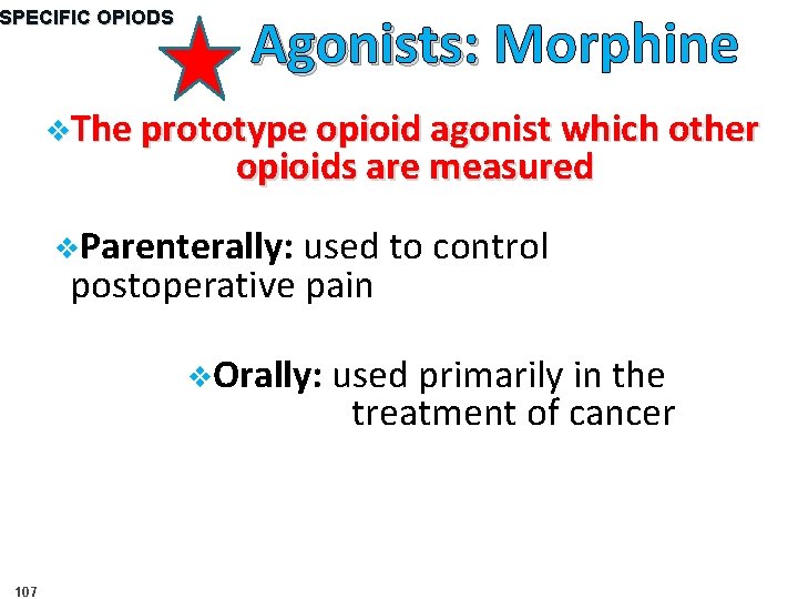 SPECIFIC OPIODS Agonists: Morphine v. The prototype opioid agonist which other opioids are measured