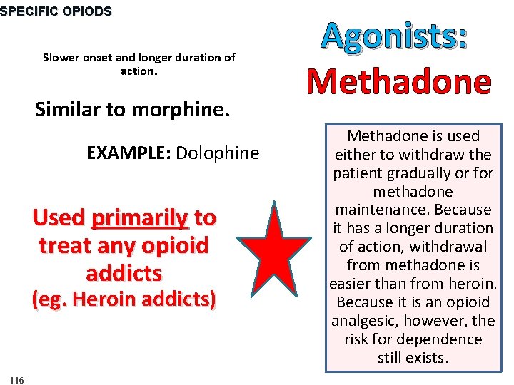 SPECIFIC OPIODS Slower onset and longer duration of action. Similar to morphine. EXAMPLE: Dolophine