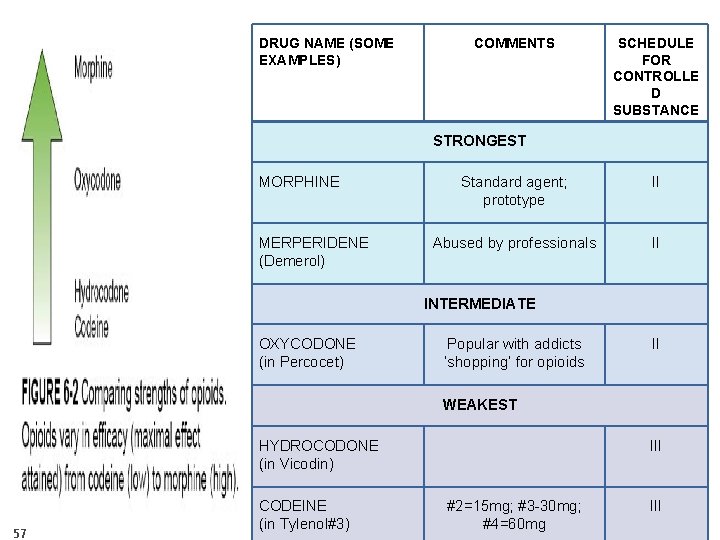 DRUG NAME (SOME EXAMPLES) COMMENTS SCHEDULE FOR CONTROLLE D SUBSTANCE STRONGEST MORPHINE MERPERIDENE (Demerol)