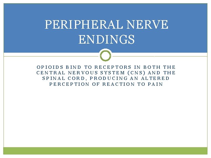 PERIPHERAL NERVE ENDINGS OPIOIDS BIND TO RECEPTORS IN BOTH THE CENTRAL NERVOUS SYSTEM (CNS)