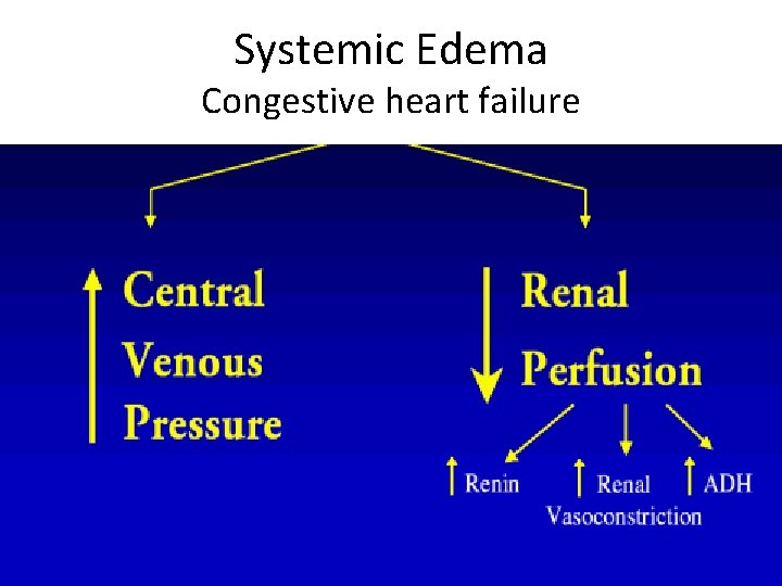 Systemic Edema Congestive heart failure Systemic Edema Congestive heart failure
