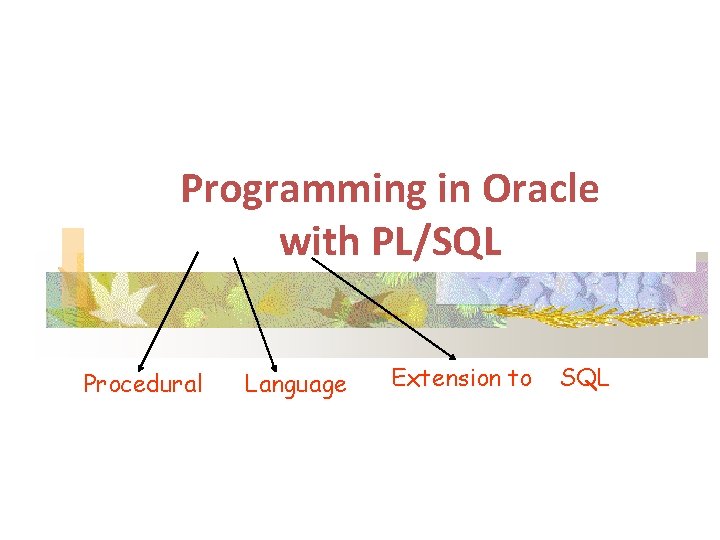 Programming in Oracle with PL/SQL Procedural Language Extension to SQL 