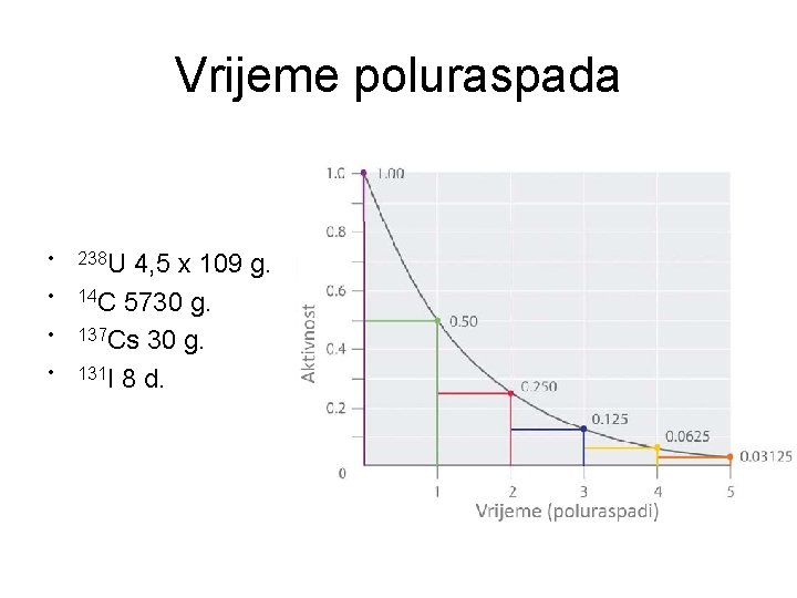 Vrijeme poluraspada • • 238 U 4, 5 x 109 g. 14 C 5730