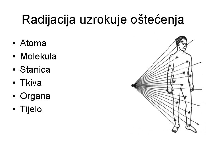 Radijacija uzrokuje oštećenja • • • Atoma Molekula Stanica Tkiva Organa Tijelo 