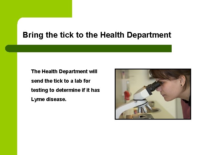 Bring the tick to the Health Department The Health Department will send the tick Bring the tick to the Health Department The Health Department will send the tick