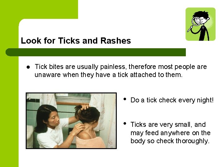 Look for Ticks and Rashes l Tick bites are usually painless, therefore most people Look for Ticks and Rashes l Tick bites are usually painless, therefore most people