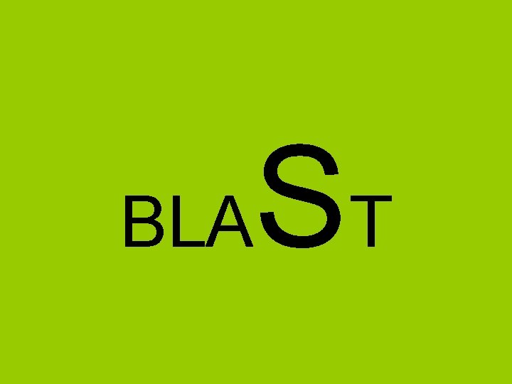 BLA ST BLA ST
