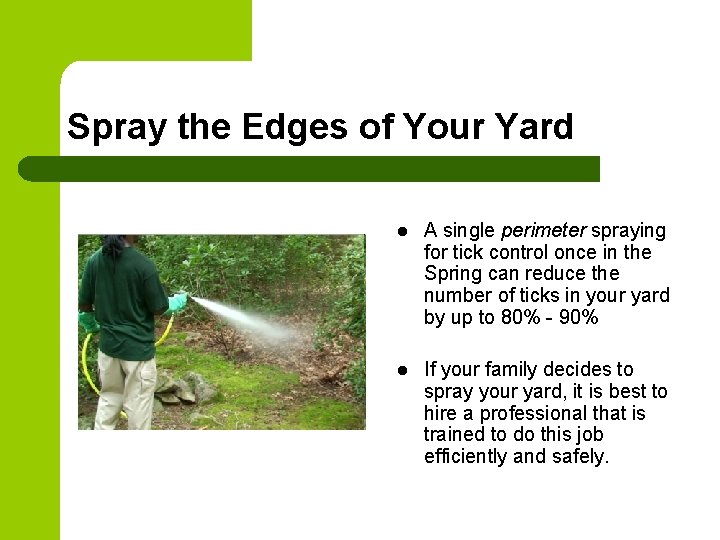 Spray the Edges of Your Yard l A single perimeter spraying for tick control Spray the Edges of Your Yard l A single perimeter spraying for tick control