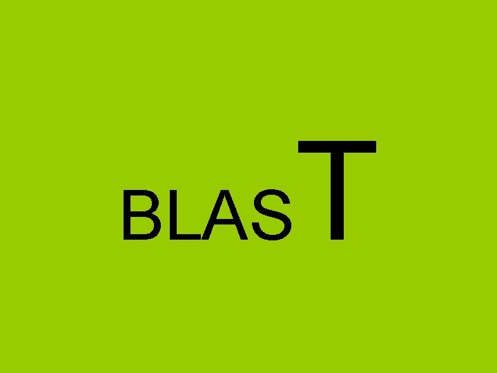 BLAS T BLAS T