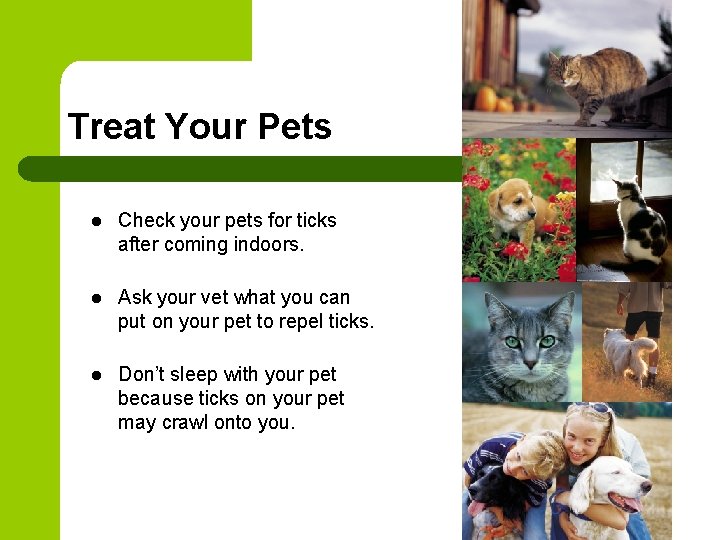 Treat Your Pets l Check your pets for ticks after coming indoors. l Ask Treat Your Pets l Check your pets for ticks after coming indoors. l Ask