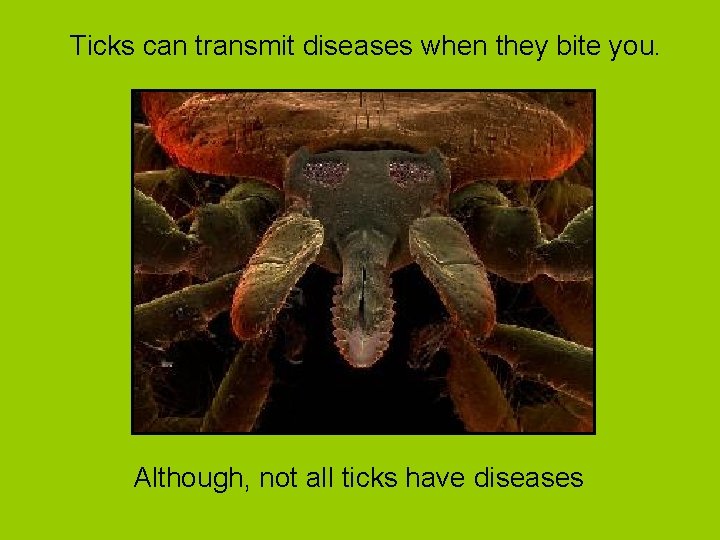 Ticks can transmit diseases when they bite you. Although, not all ticks have diseases Ticks can transmit diseases when they bite you. Although, not all ticks have diseases