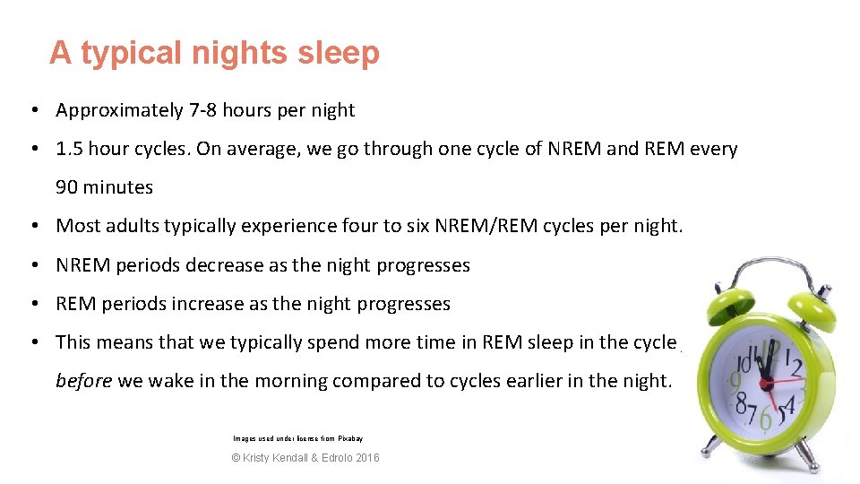 A typical nights sleep • Approximately 7 -8 hours per night • 1. 5