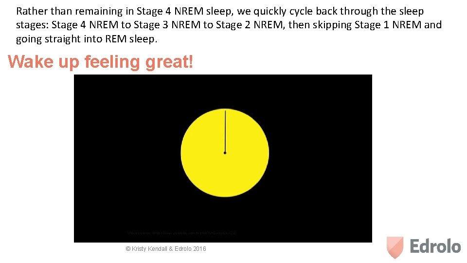 Rather than remaining in Stage 4 NREM sleep, we quickly cycle back through the