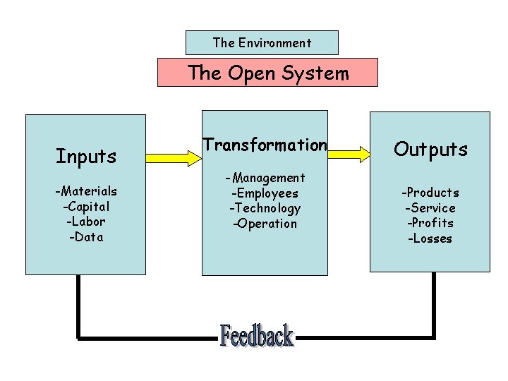 The Environment The Open System Inputs -Materials -Capital -Labor -Data Transformation -Management -Employees -Technology