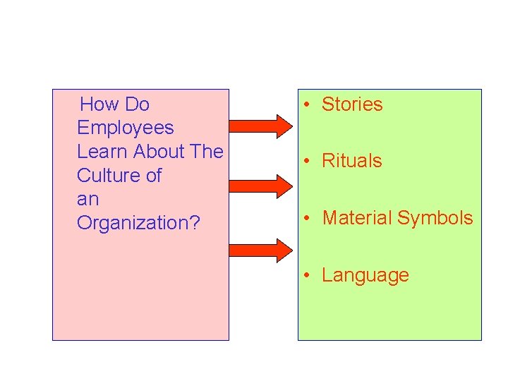 How Do Employees Learn About The Culture of an Organization? • Stories • Rituals